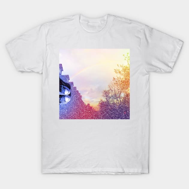 untitled #1 T-Shirt by debschmill